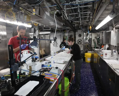 Scientists examining specimens inside a laboratory