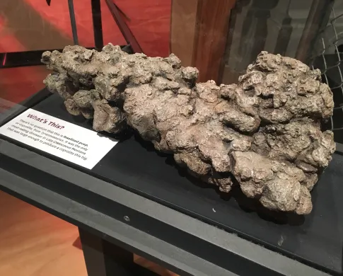 A piece of fossilized dinosaur poop
