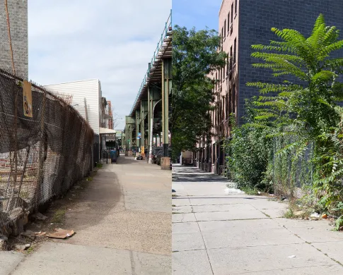 two angled views of a street corner empty lot one empty with trash the other overgrown with green plants