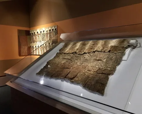 a large possum cloak at an up right angle in a large glass case 