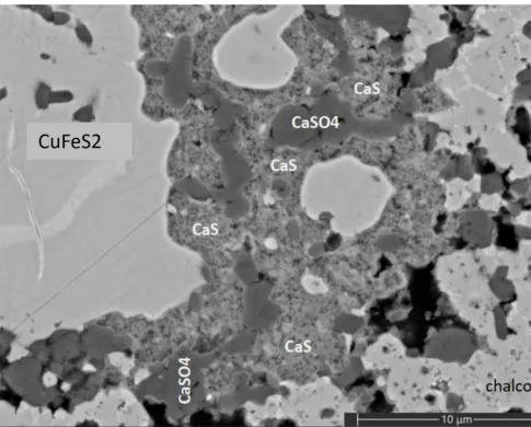 Backscattered electron image with labeled copper minerals