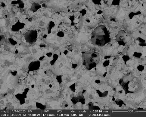 Black and dark gray crystals in a light gray matrix