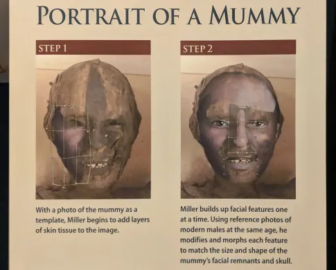 An image of facial reconstructions in the Mummies exhibit. 