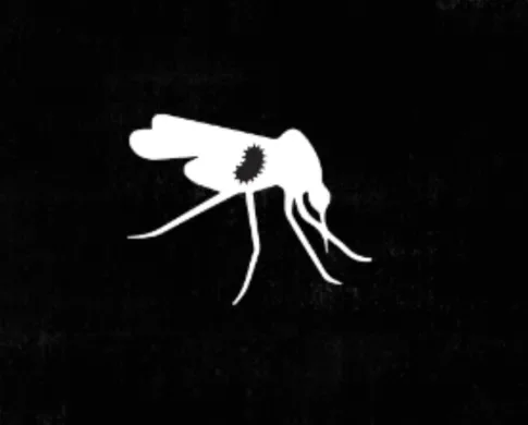 an illustrated white mosquito 