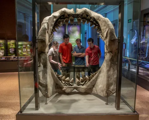four people standing on one side of large shark mouth