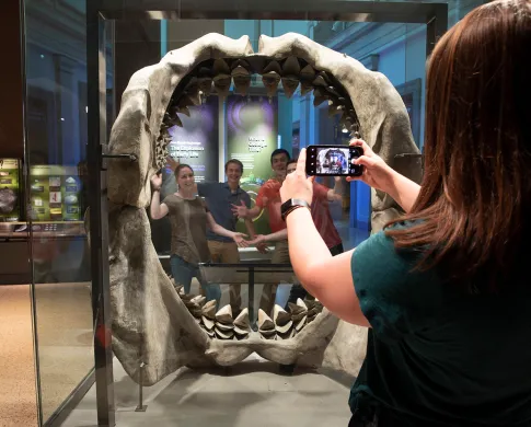 A woman in front of 10 foot tall Megalodon shark jaws, holding up her smart phone to photograph four people behind the jaws.