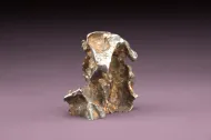 Port Orford meteorite (USNM 617)::10782570