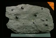 Almandine-bearing schist (NMNH 93666)::10954903