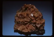 Chabazite (NMNH R14752)::10963349