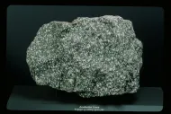 Andesite lava (NMNH 116619-48)::10954809
