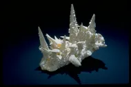 Calcite (NMNH R15509)::10246463