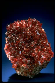 Rhodochrosite (NMNH 144191)::10246350