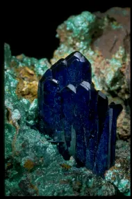 Azurite with Malachite (NMNH 104886)::10246359