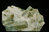 Andalusite in quartz vein (NMNH C3014)::10953763