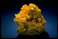 Wulfenite (NMNH 166974)::10246396