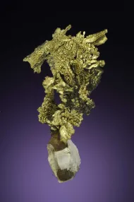 Mockingbird Mine Gold (NMNH 176204)::13085615