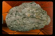 Garnet schist (NMNH 116658-14)::10954715