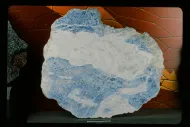 Wollastonite-bearing marble (NMNH 116626-13)::10954915