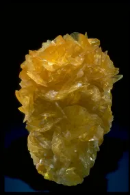 Gypsum with Sulfur (NMNH 148289)::10246478
