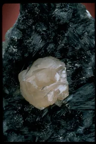 Calcite (NMNH 171129)::10246325