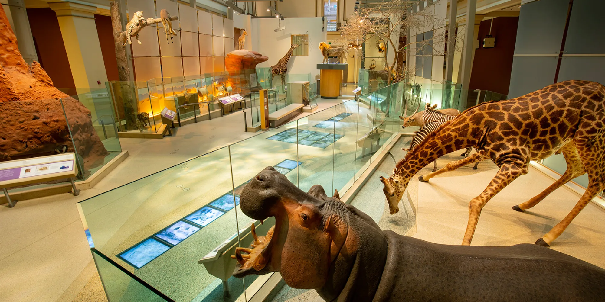 Smithsonian National Museum Of Natural History Reviews