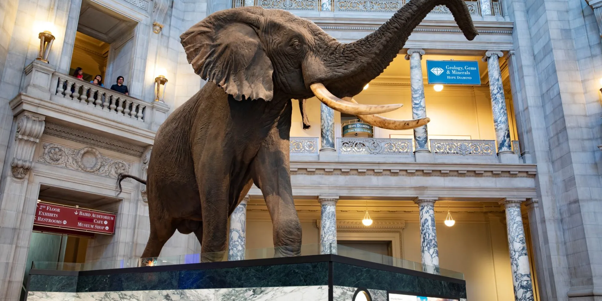 13 Facts About the American Museum of Natural History