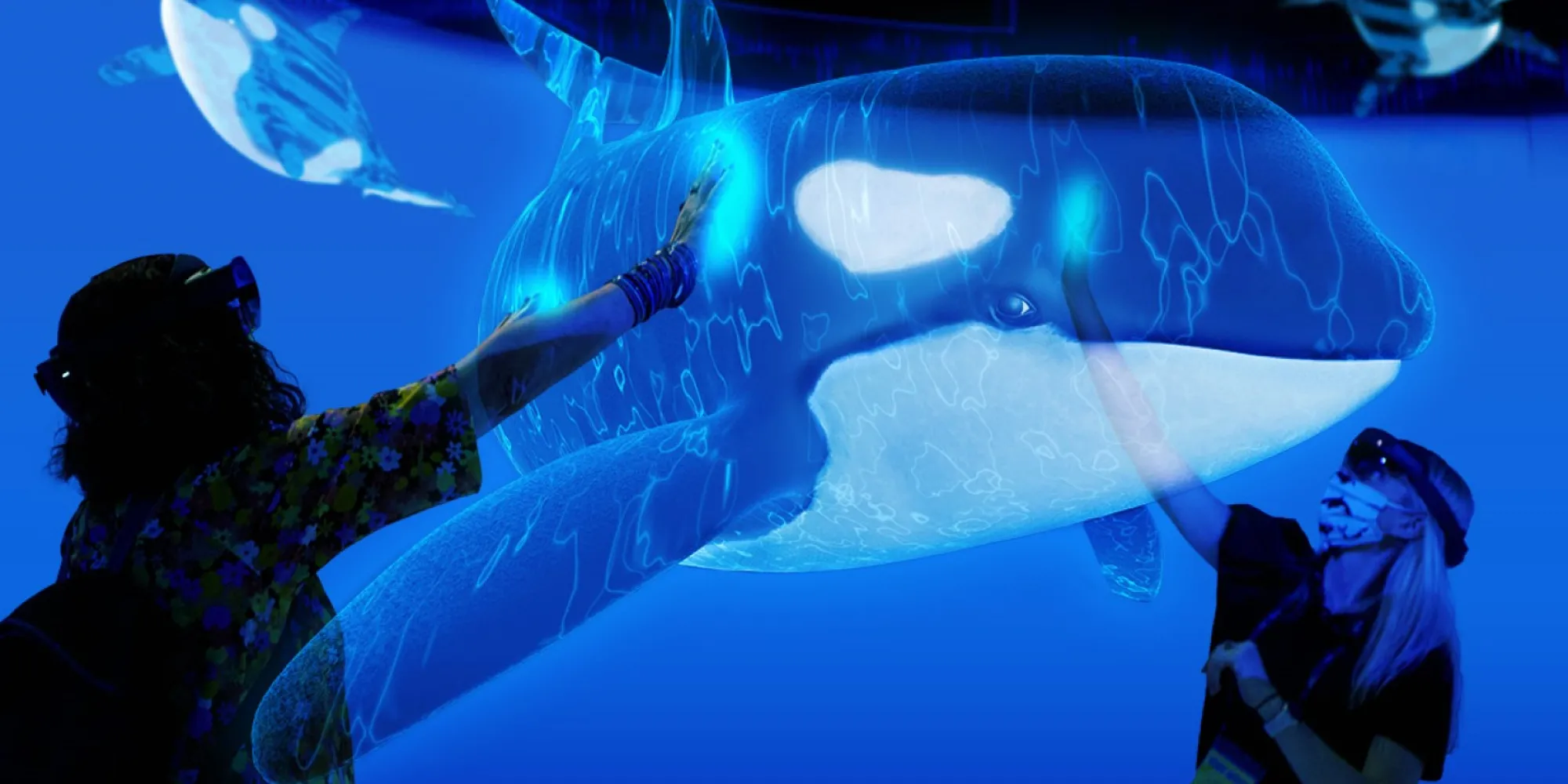 a digital projection of an orca what with a person reaching out to touch it. mostly blue tones 