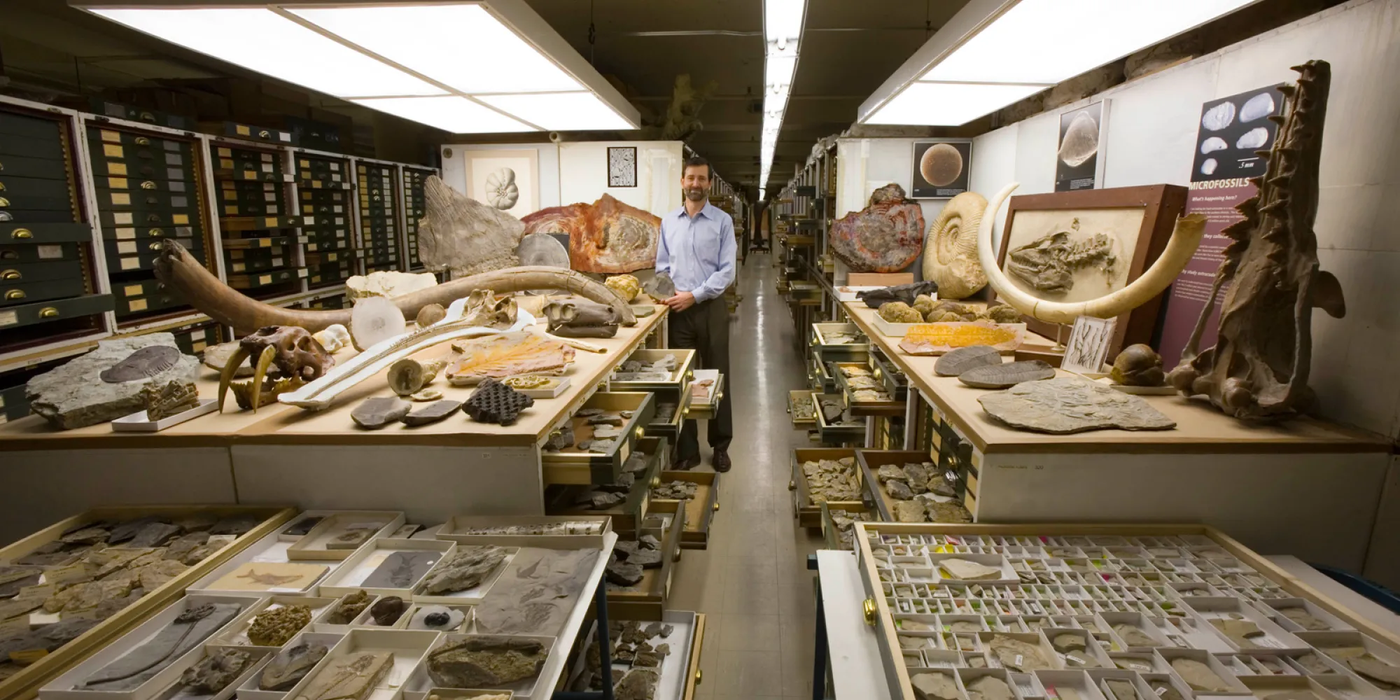 Collections from the Dept. of Paleobiology