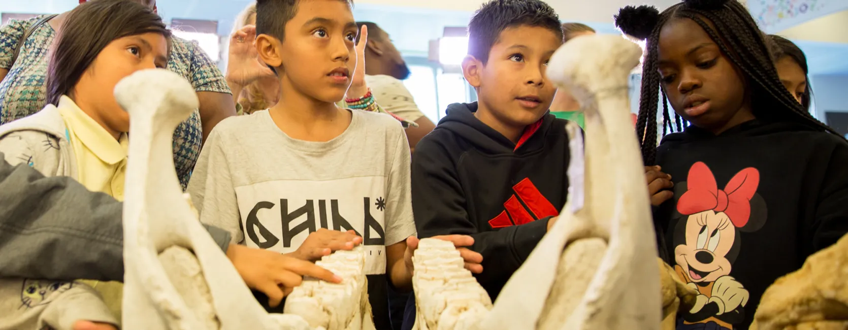 Four elementary-school-age children standing behind a table. There is a large elephant jawbone with teeth on the table, along with other animal bones. Three of the kids are medium-skinned and looking up and to the right. The fourth child is dark-skinned and looking down at the bones.