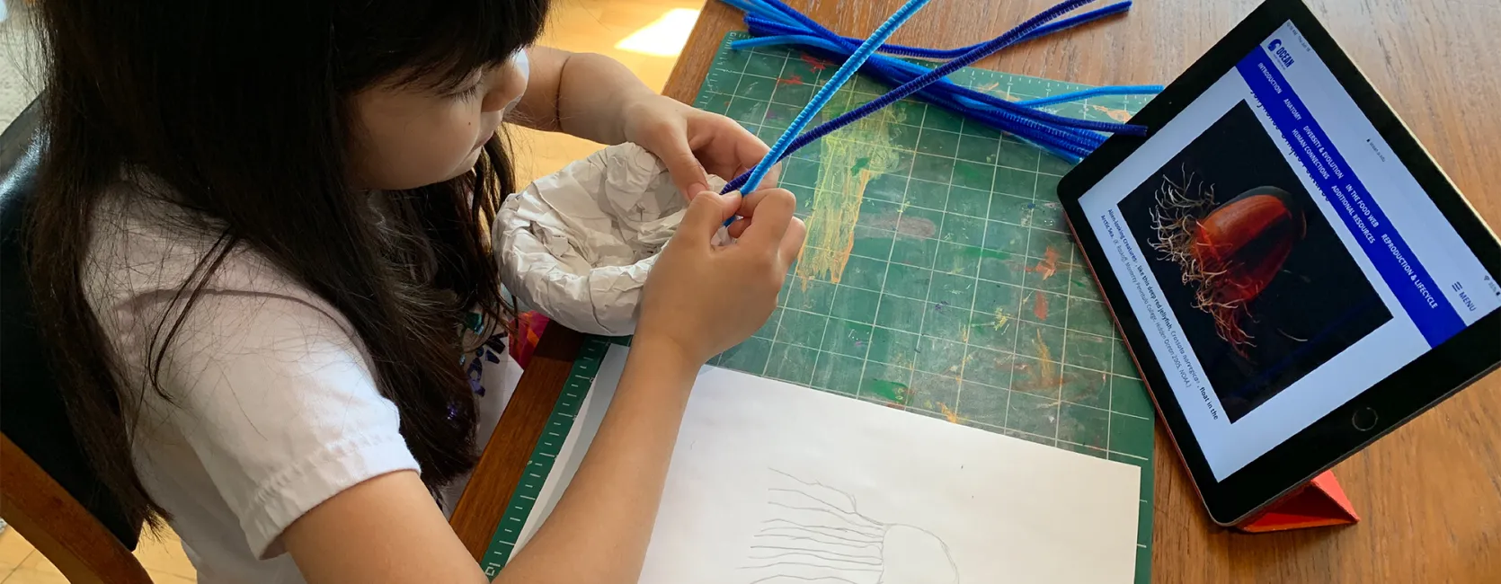 A girl making a jellyfish model while looking at a jellyfish photo on a tablet.