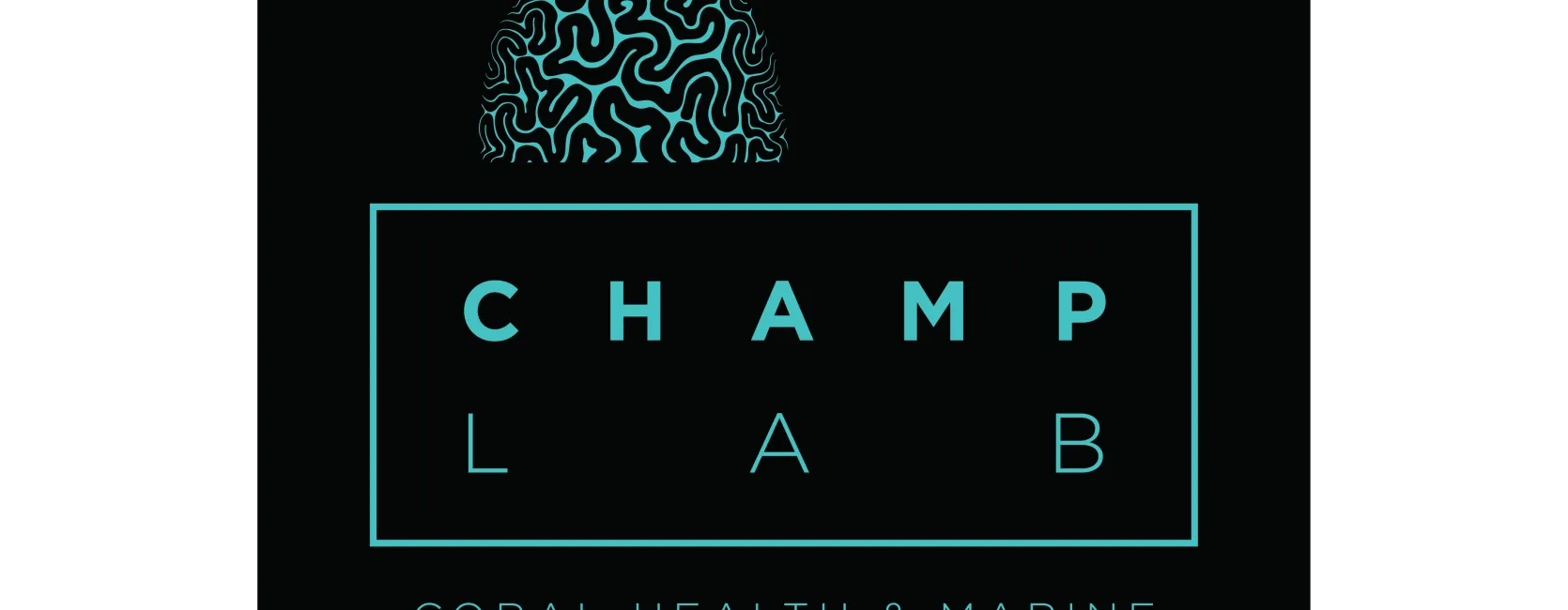 SMS CHAMP Logo