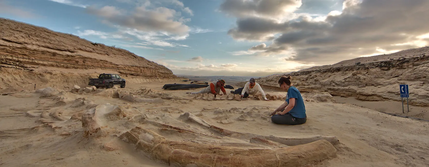 Members of the Pyenson lab work on a site on the Atacama Desert of Chile.