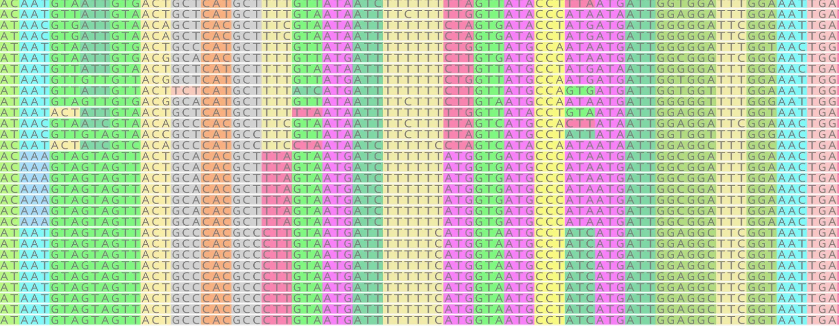 A rainbow-colored grid with letters A, T, C, and G spread across the picture. Unique combinations of three letters share a single color, representing the translation of DNA nucleotides to amino acids.