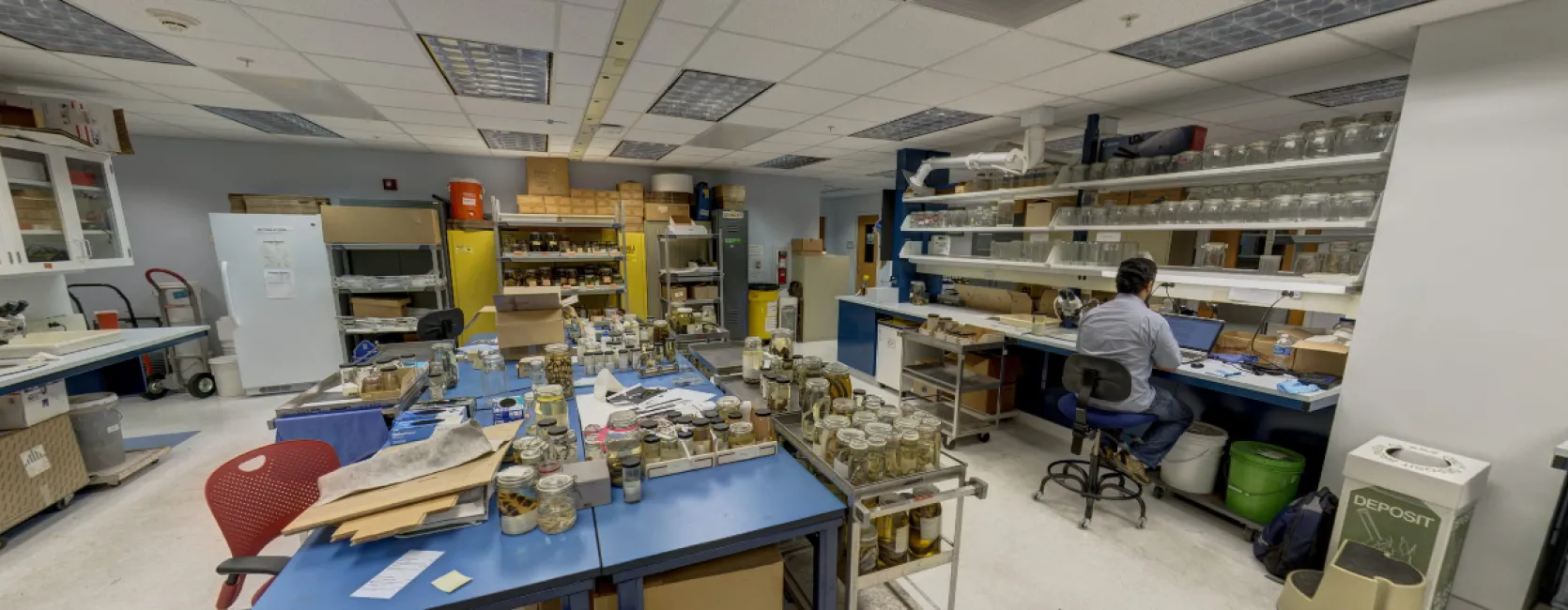 A laboratory at the Museum Support Center, the Laboratories of Analytical Biology? 
