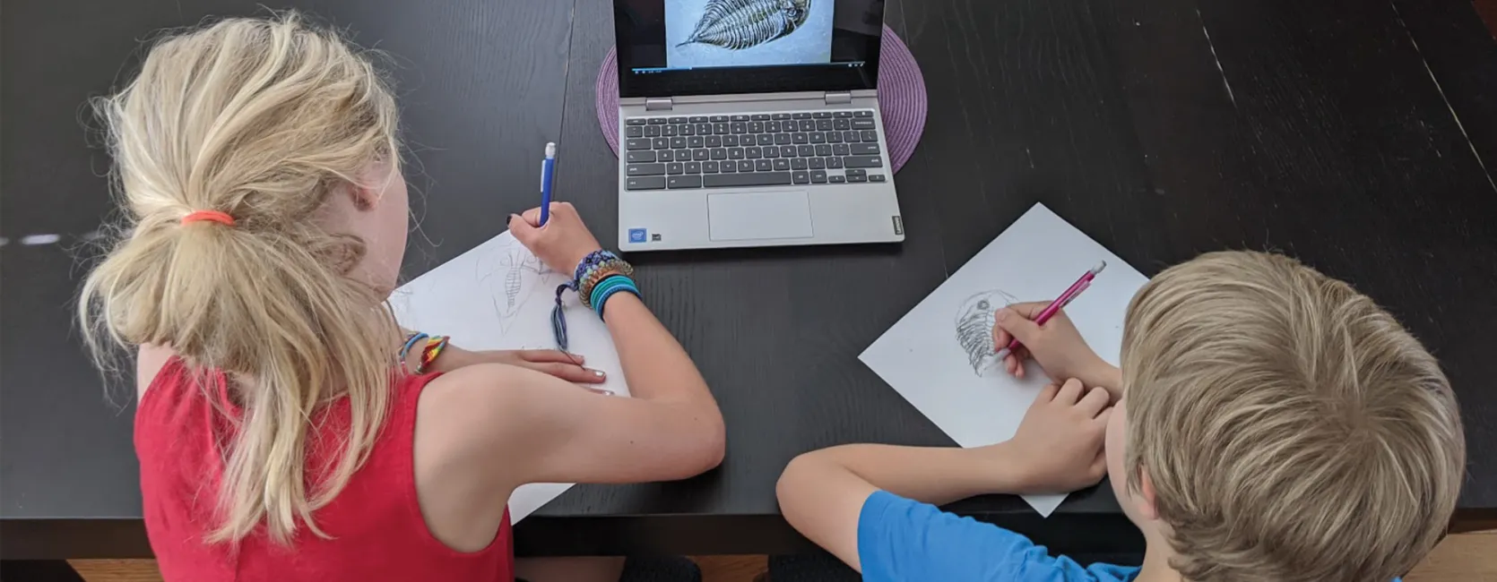 A girl and boy sitting at a table, drawing a fossil that is shown on the laptop in front of them.