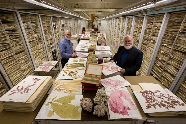 Two men holding specimen sample sheets in the center of plant collection storage aisle. More are on the shelves behind them.