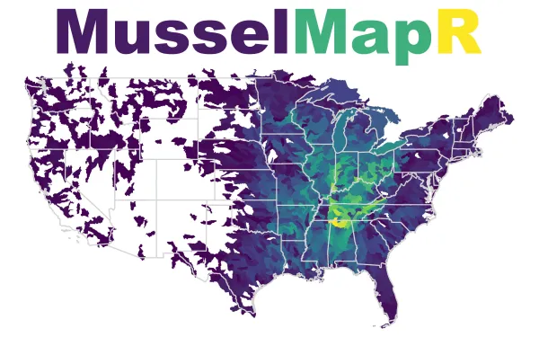 A color coordinated map displaying density of US freshwater mussel collections data