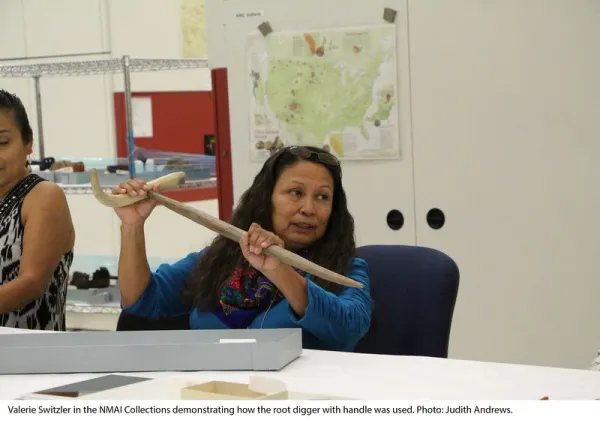 Woman demonstrating how a root digger is used, lifting it above the table with two hands.