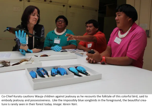 Four people at a table examining and discussing blue songbirds.