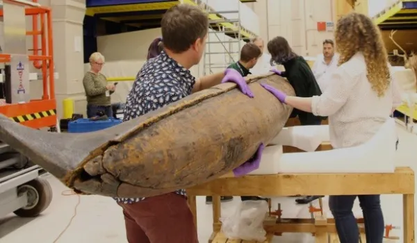 People tilting a wa'a (canoe) to the left side to expose underneath.