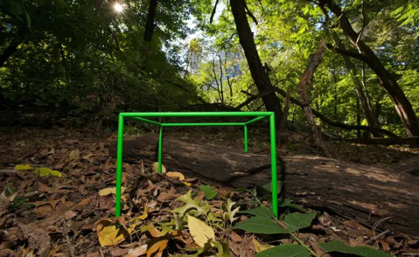 A green plastic frame in the shape of a cube sitting in the woods on top of some leaves and a log.