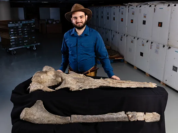 A bearded man wearing a brown fedora, standing behind a table with two large, gray fossils on it. One fossil is roughly triangular in shape, while the other is long and thin and arches upward at one end.