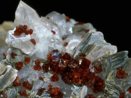 Deep red garnet crystals on white irregular surface