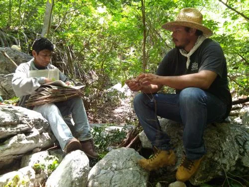 Two men sitting on rocks in the woods, the one on the left pressing plants between pages and the other watching. 