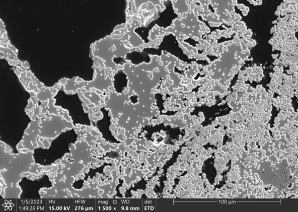 Grayscale SEM image with gray crystals outlined in white