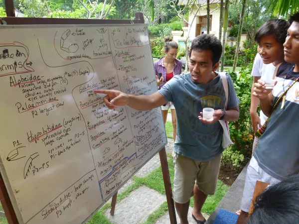 A researcher holds a small container in one hand, and points to information on a white board covered with scientific illustrations as a small crowd stand and listen