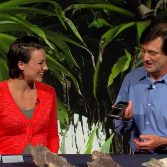 Host Maggy Benson and Paleobotanist Scott Wing talk at a table during a Smithsonian Science How video webcast.