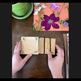Video frame showing two hands holding a small wooden block and a small cardboard block. Some picked flowers on are the table.