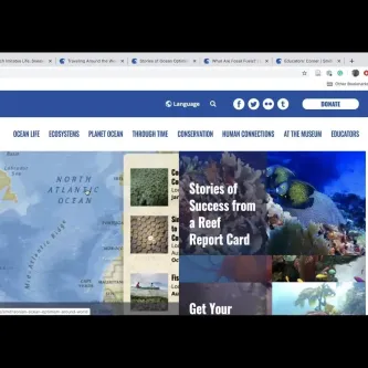 Screenshot of Ocean Portal Website and Emily Frost