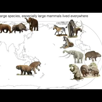 Presentation slide with map of the world with illustrations of ancient large animals on it.